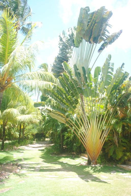 Casa Girassois Villa Praia de Pipa Exterior photo